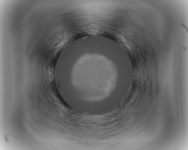 X0000094230043200710261304