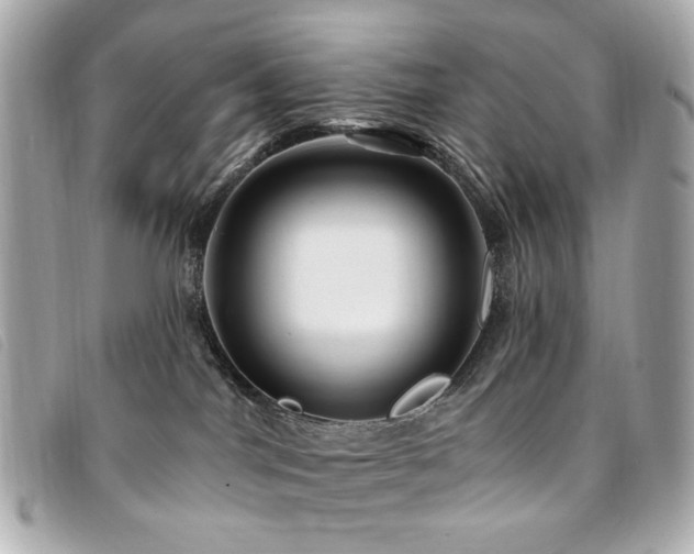 X0000094230044200710261304
