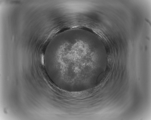 X0000094230046200710261304