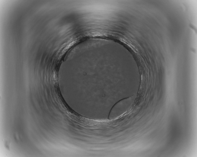 X0000094230048200710261304