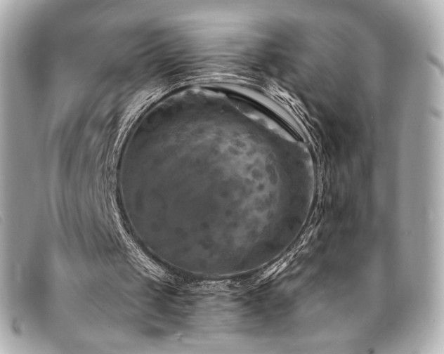 X0000094230049200710261304
