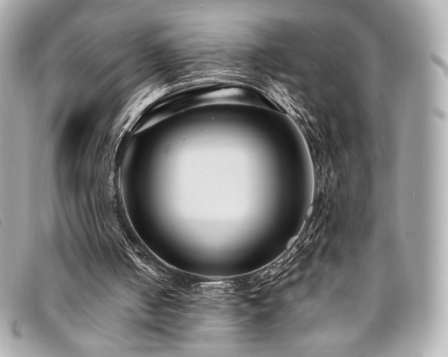 X0000094230050200710261304
