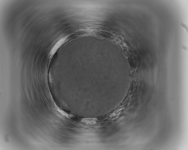 X0000094230051200710261304
