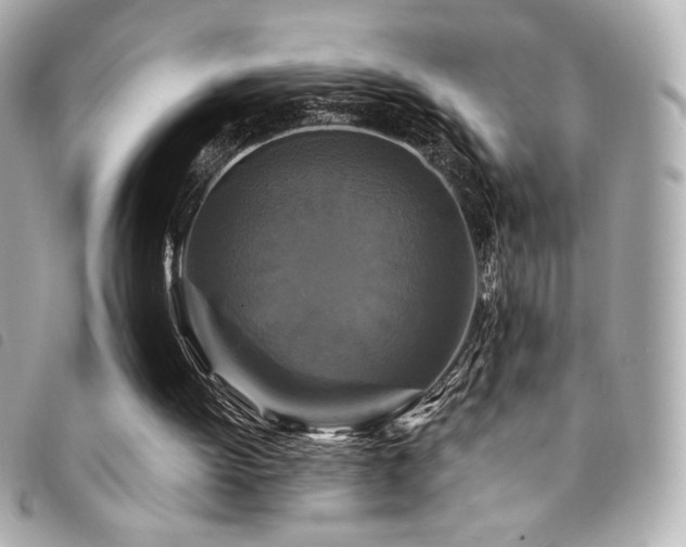 X0000094230052200710261304