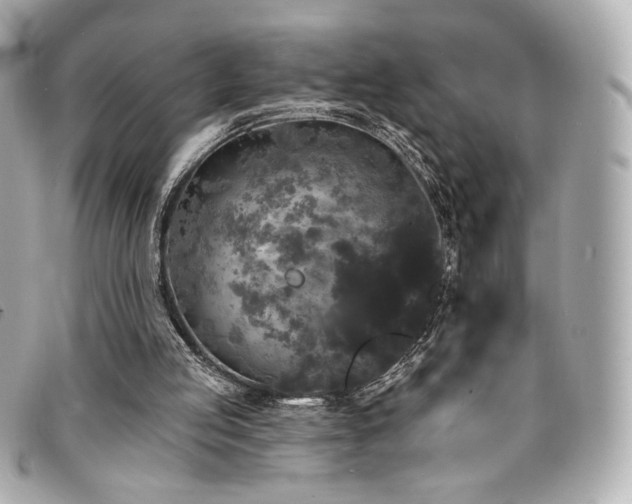 X0000094230053200710261304