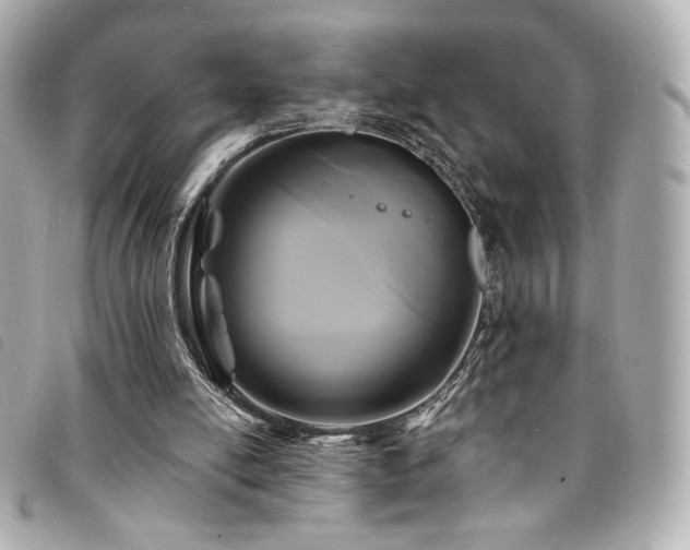 X0000094230054200710261304