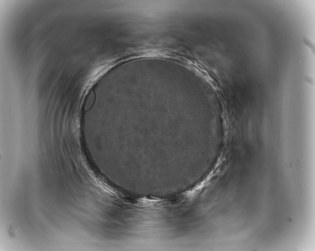 X0000094230055200710261304
