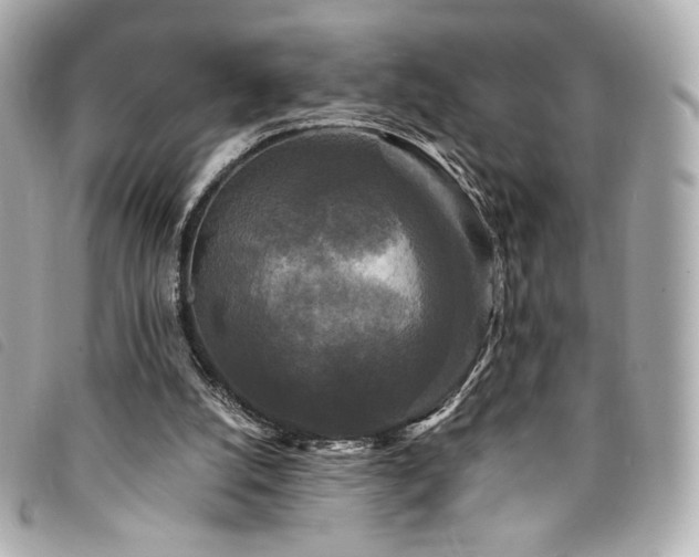 X0000094230056200710261304