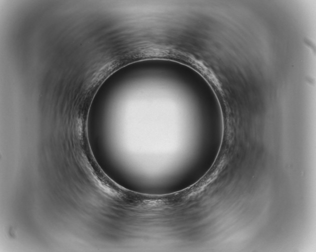 X0000094230057200710261304