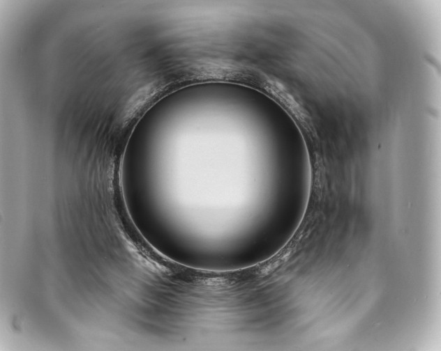 X0000094230058200710261304