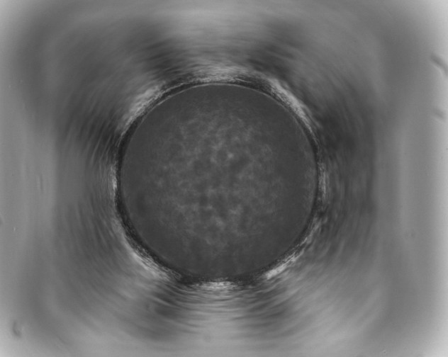 X0000094230059200710261304