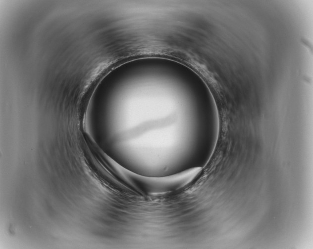 X0000094230060200710261304