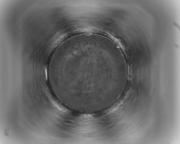 X0000094230061200710261304