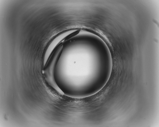 X0000094230063200710261304