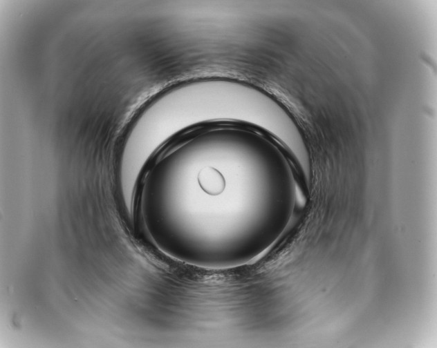 X0000094230064200710261304
