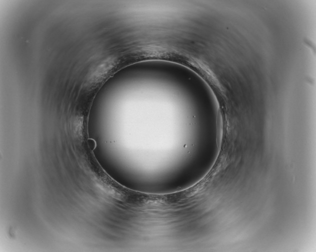 X0000094230066200710261304