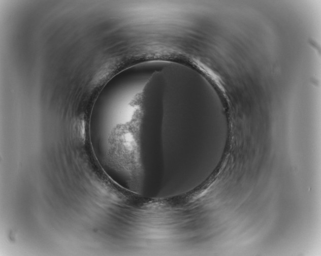X0000094230067200710261304