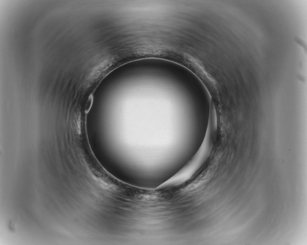 X0000094230068200710261304