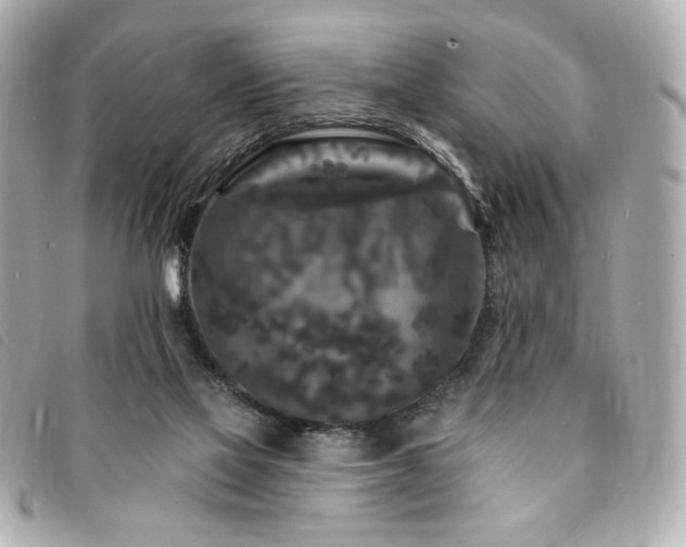 X0000094230069200710261304