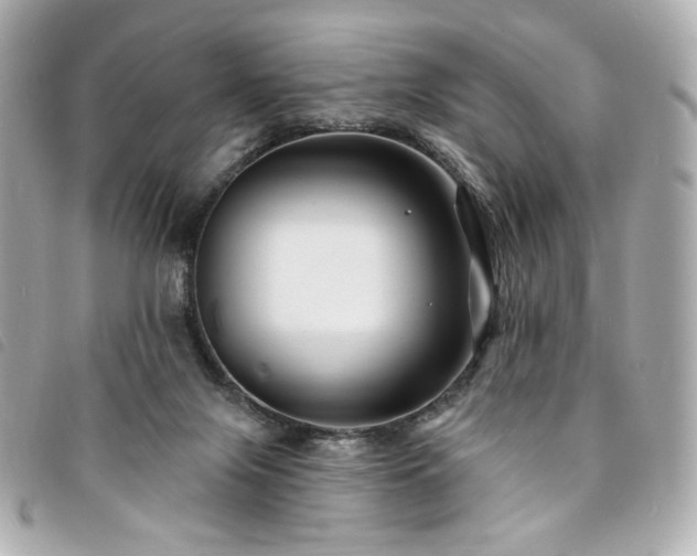 X0000094230071200710261304