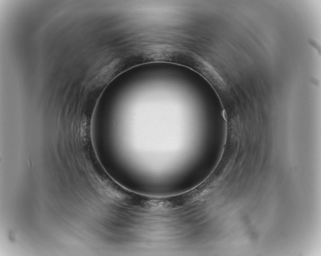 X0000094230073200710261304