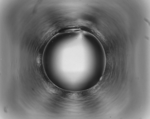 X0000094230074200710261304