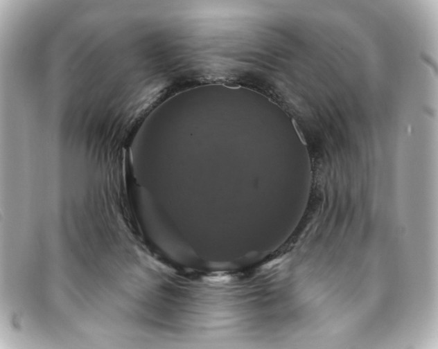 X0000094230076200710261304