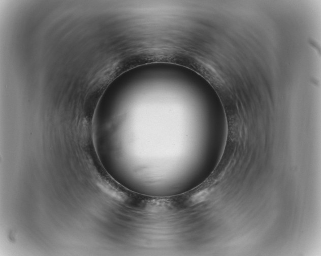 X0000094230077200710261304