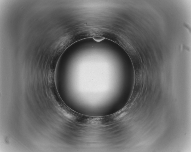 X0000094230078200710261304