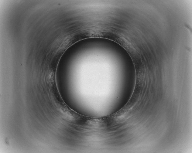X0000094230079200710261304