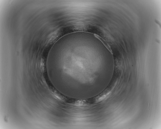 X0000094230080200710261304