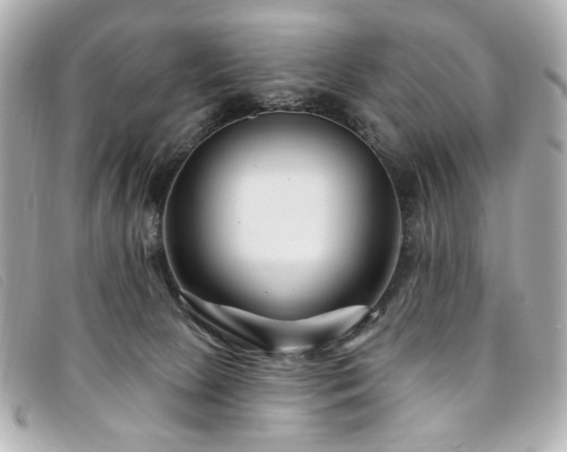 X0000094230081200710261304