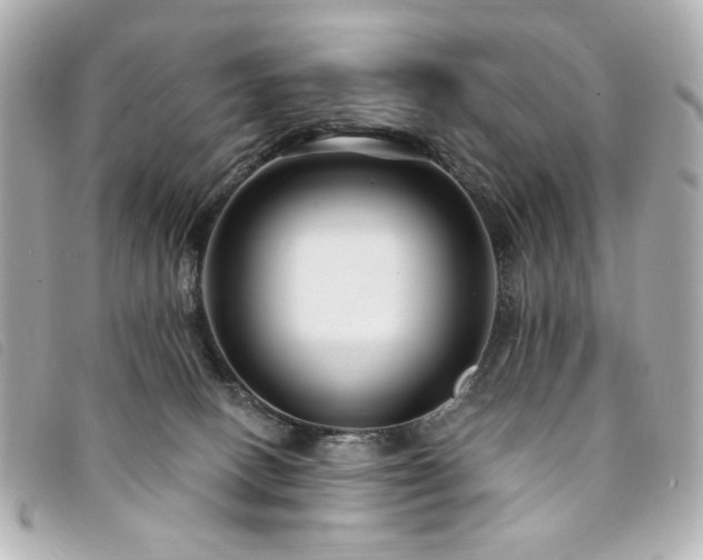 X0000094230082200710261304