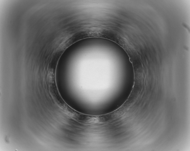 X0000094230083200710261304