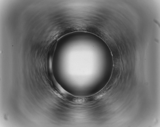 X0000094230084200710261304