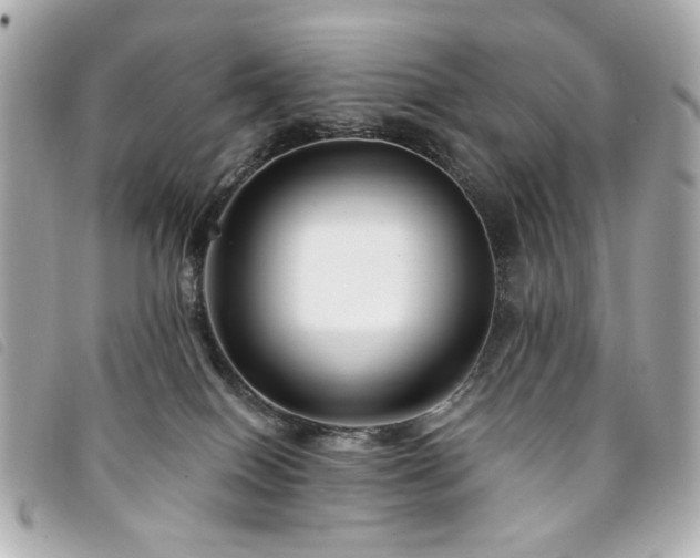 X0000094230086200710261304