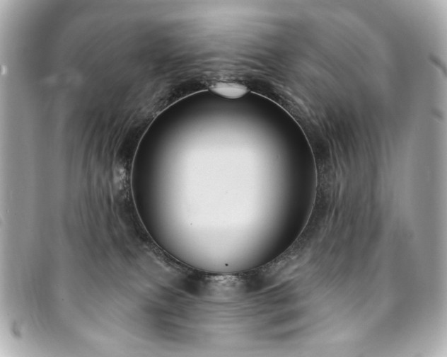 X0000094230087200710261304