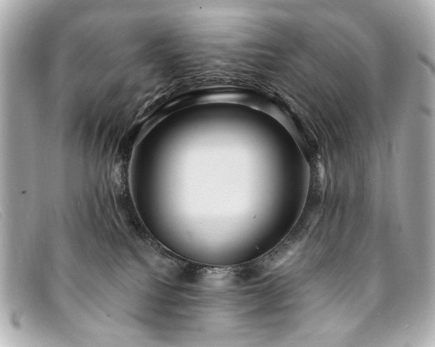 X0000094230088200710261304