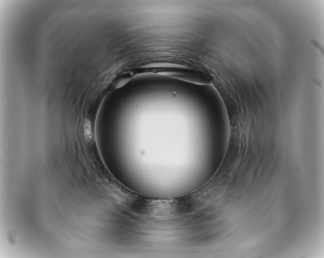 X0000094230089200710261304