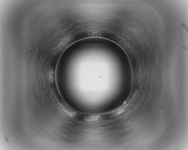 X0000094230090200710261304