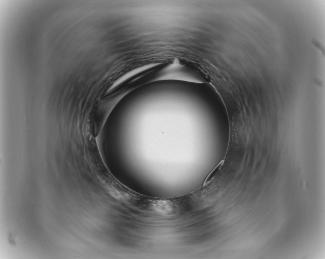 X0000094230091200710261304