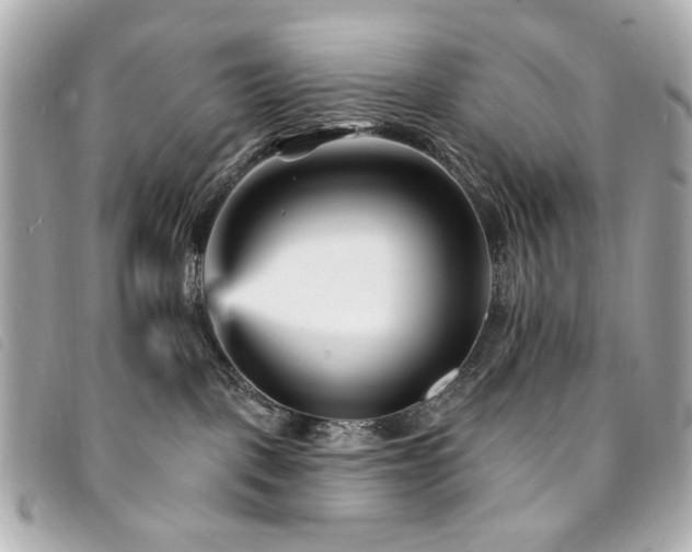 X0000094230093200710261304