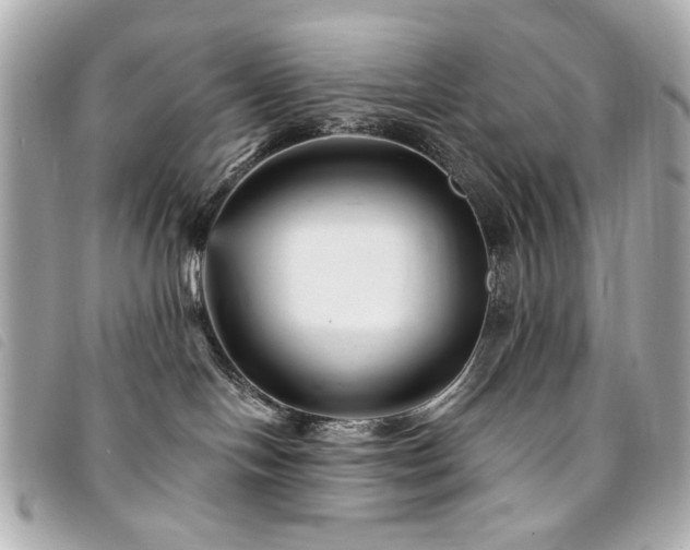 X0000094230094200710261304