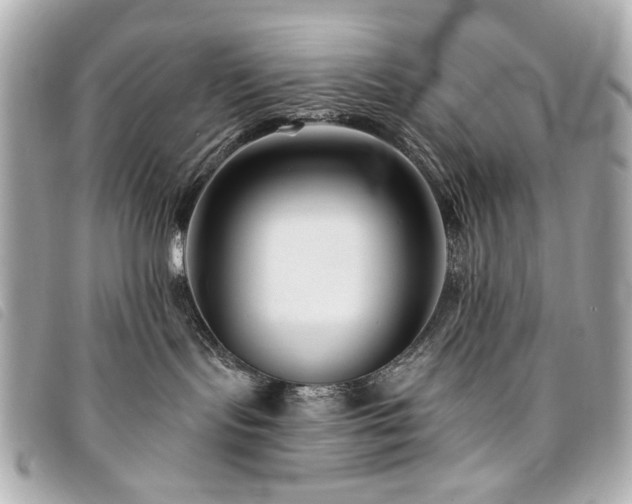 X0000094230095200710261304