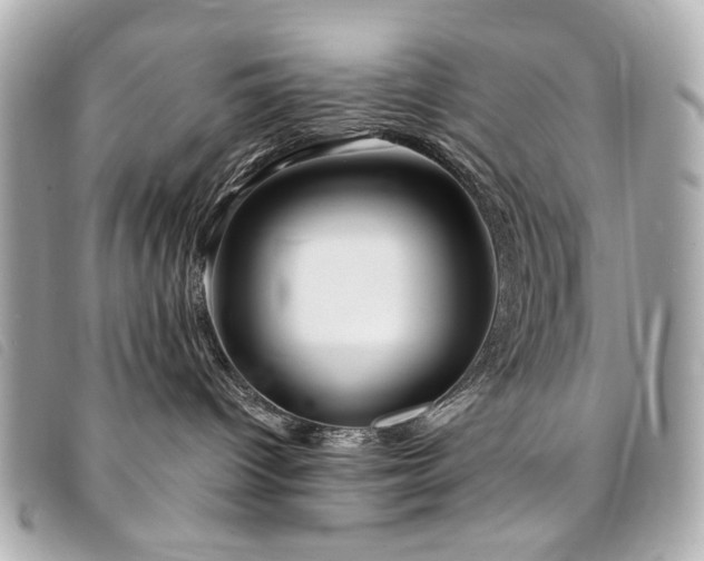 X0000094230096200710261304