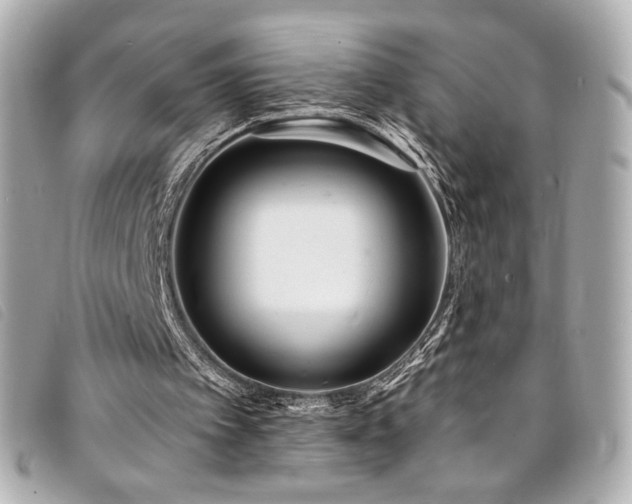 X0000094230097200710261304
