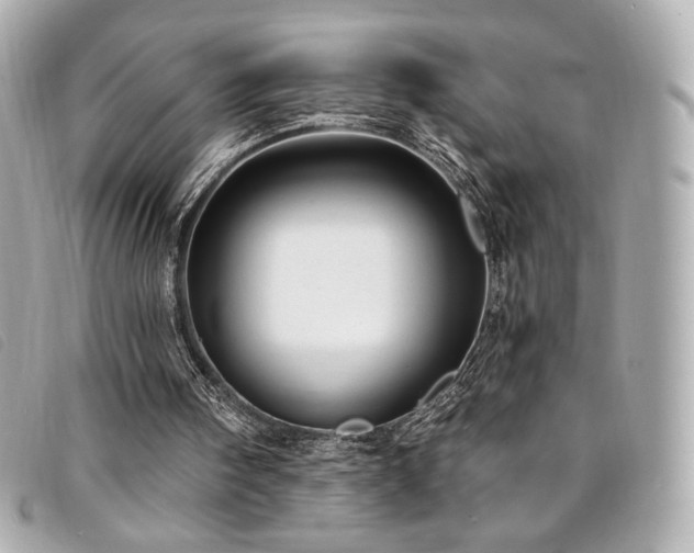 X0000094230098200710261304