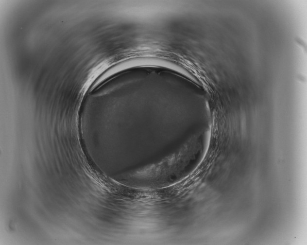 X0000094230099200710261304