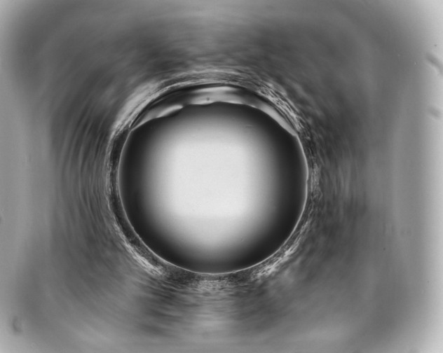 X0000094230101200710261304