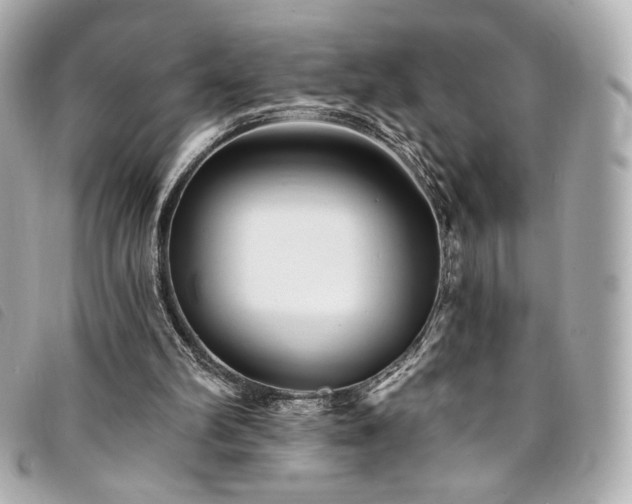 X0000094230102200710261304